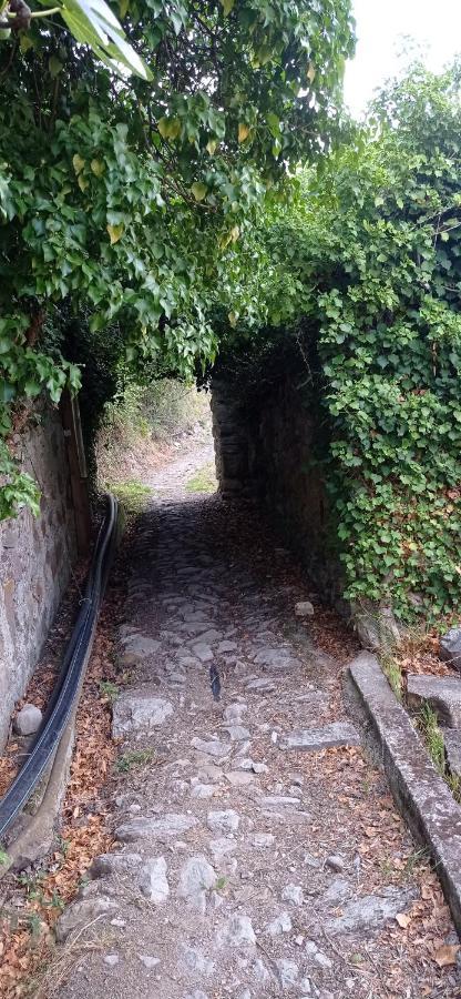 Agriturismo Vecchio Frantoio Villatella Eksteriør billede