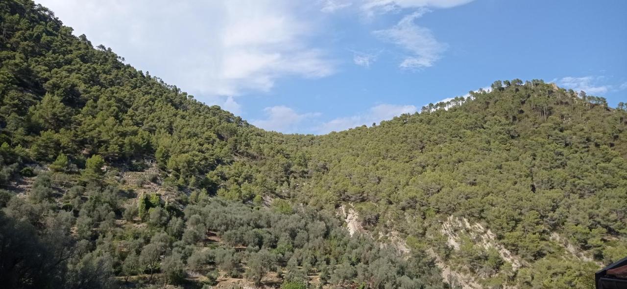 Agriturismo Vecchio Frantoio Villatella Eksteriør billede
